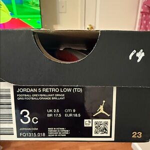 Jordan 5 Retro Low TD in Grey and Orange